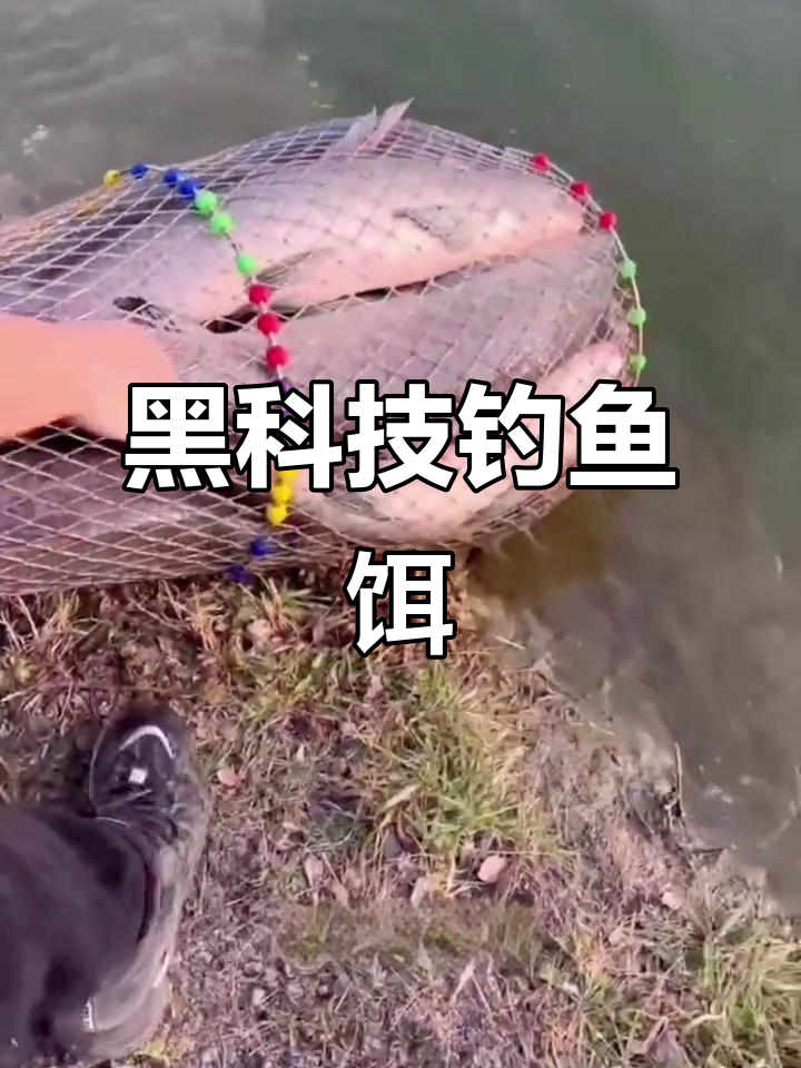 钓鱼黑科技!这款饵料让钓场老板亏到破产,边钓边做窝效果惊人