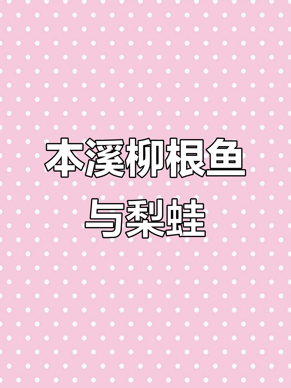 辽宁本溪怀仁的柳根鱼与黑泥鳅,冷库里的东北特产等你来选