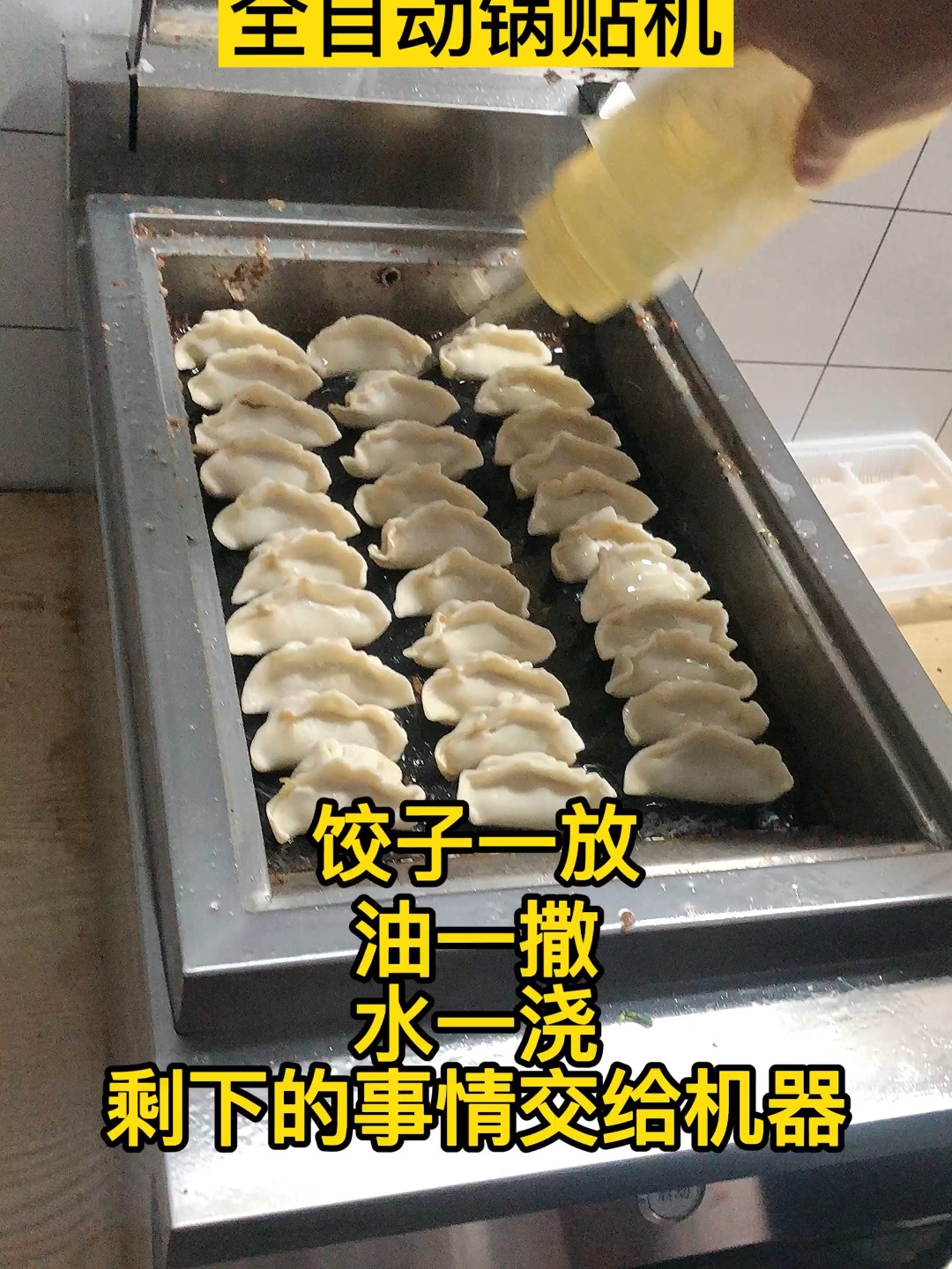 全自动锅贴机,一机在手,天下无敌!