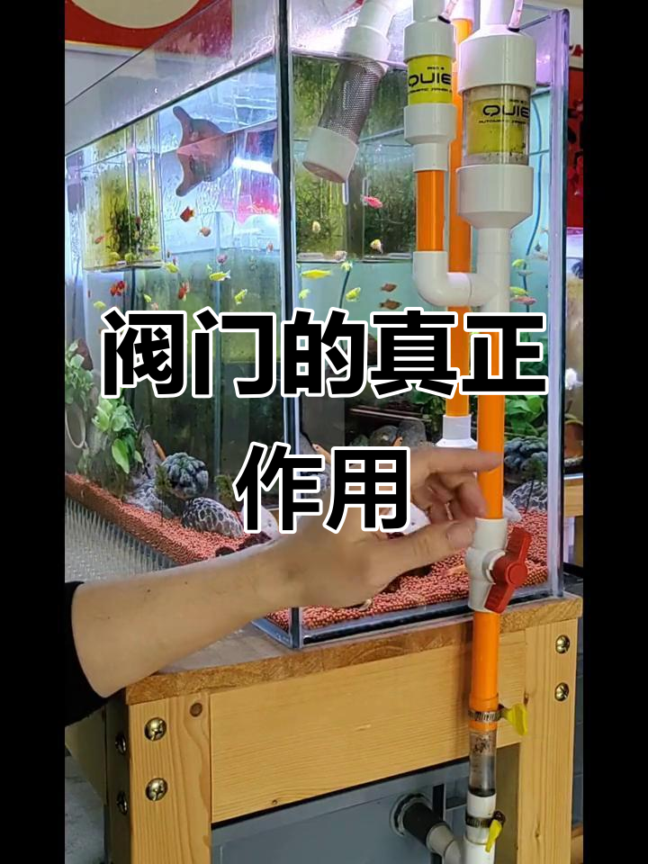 阀门如何控制鱼缸水位?揭秘虹吸原理