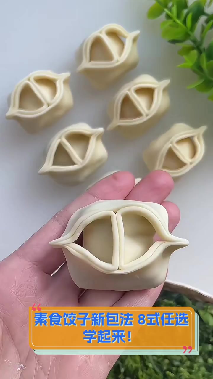 素食饺子新包法,8式任选,学起来!