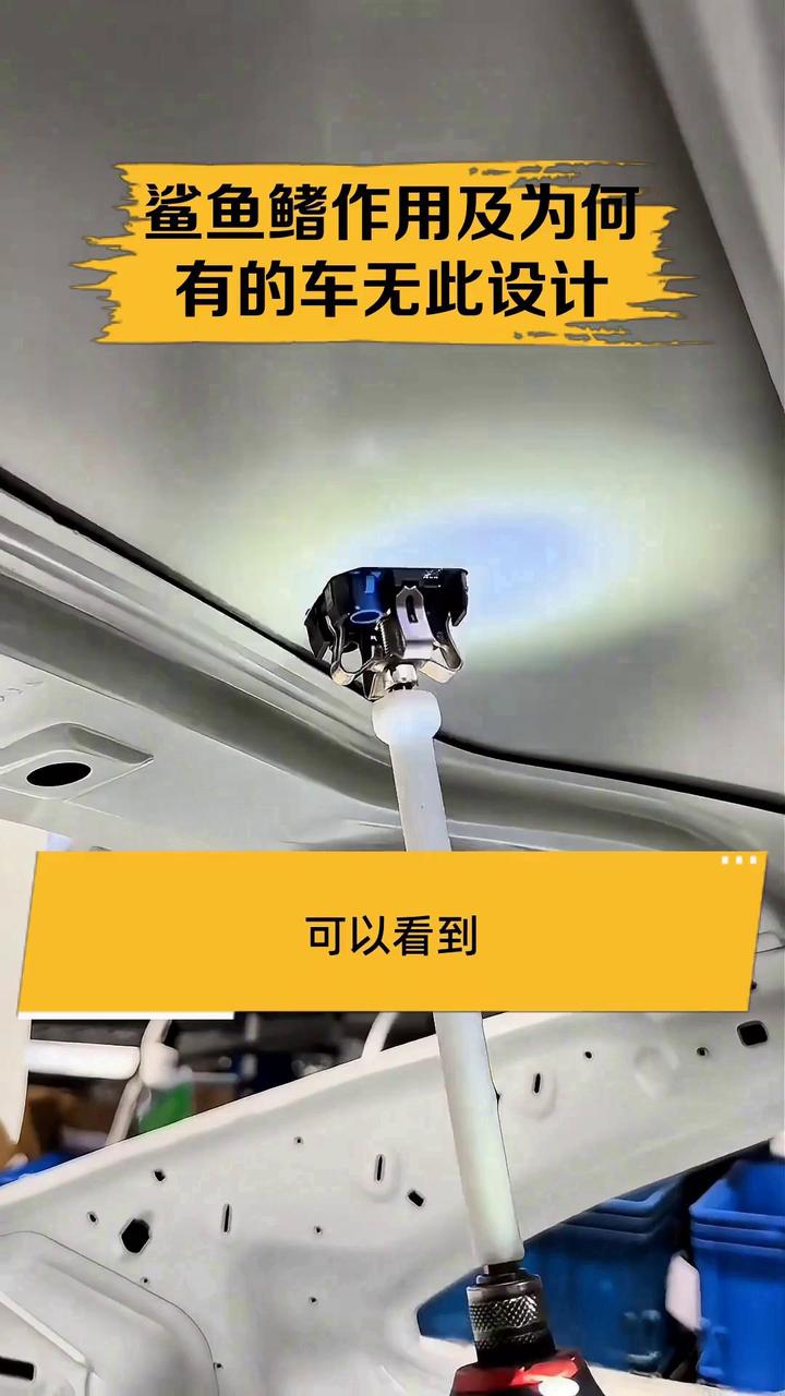 鲨鱼鳍作用及为何有的车无此设计