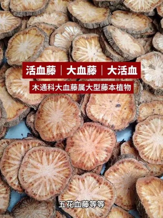 大血藤又名红藤、五花血藤、活血藤、大活血等等。#滋补养生食材 #一般人不告诉他 #抖出家乡