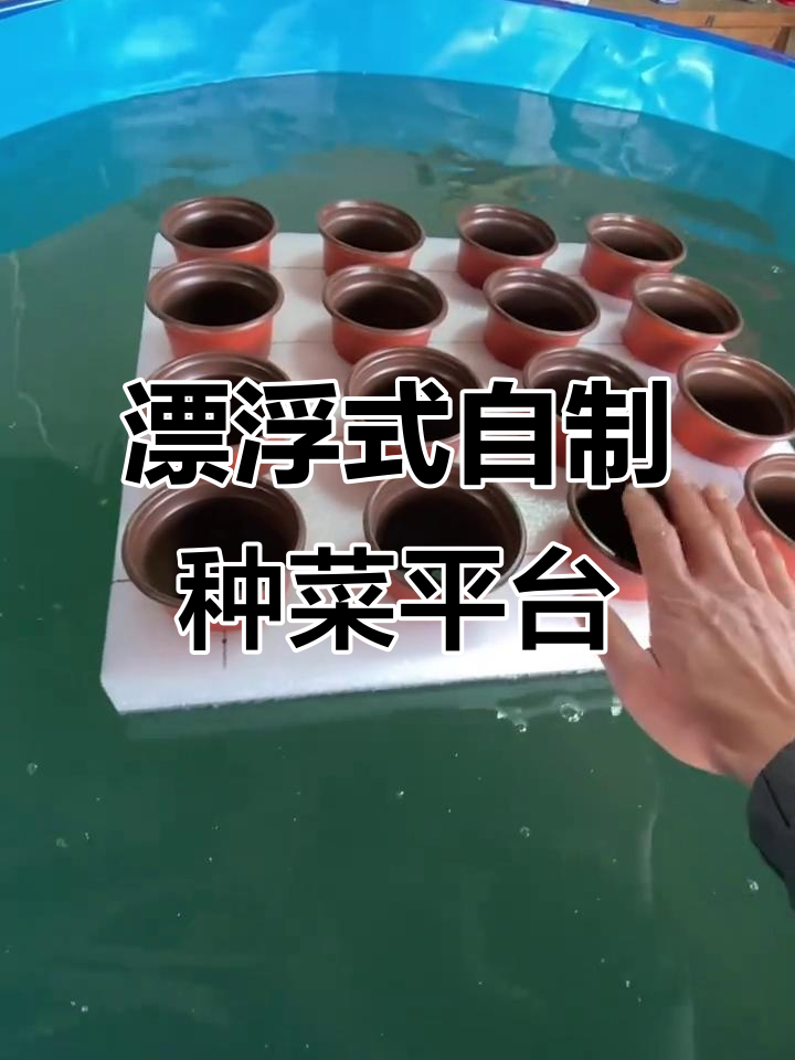 自制浮板让鱼池变菜园,轻松种植蔬菜
