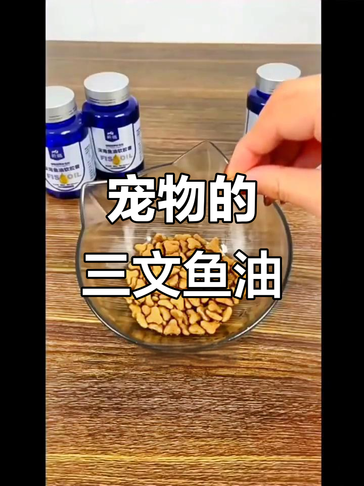 宠物深海鱼油,亮毛美毛必备营养补充