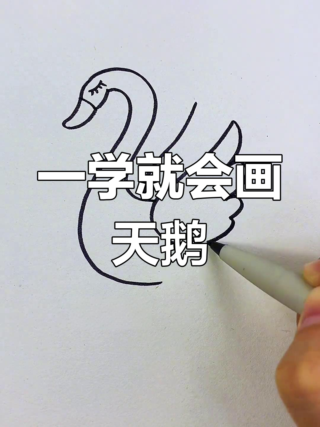 简单几步画出天鹅，轻松学会