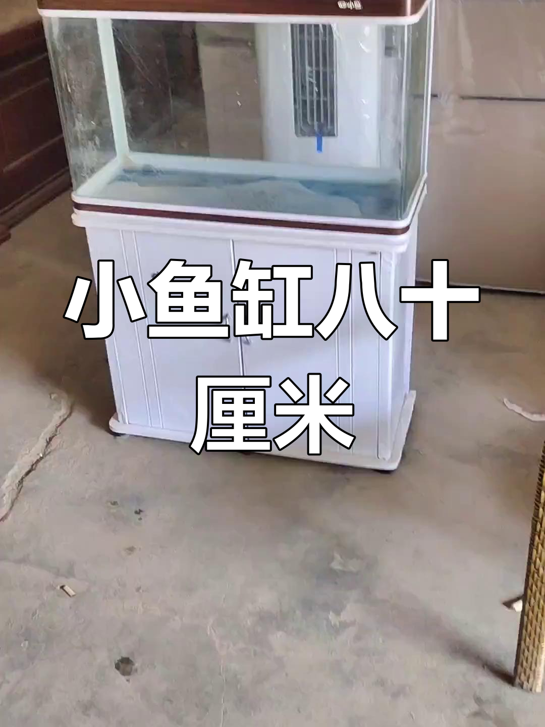 80公分小鱼缸,超值好货不容错过