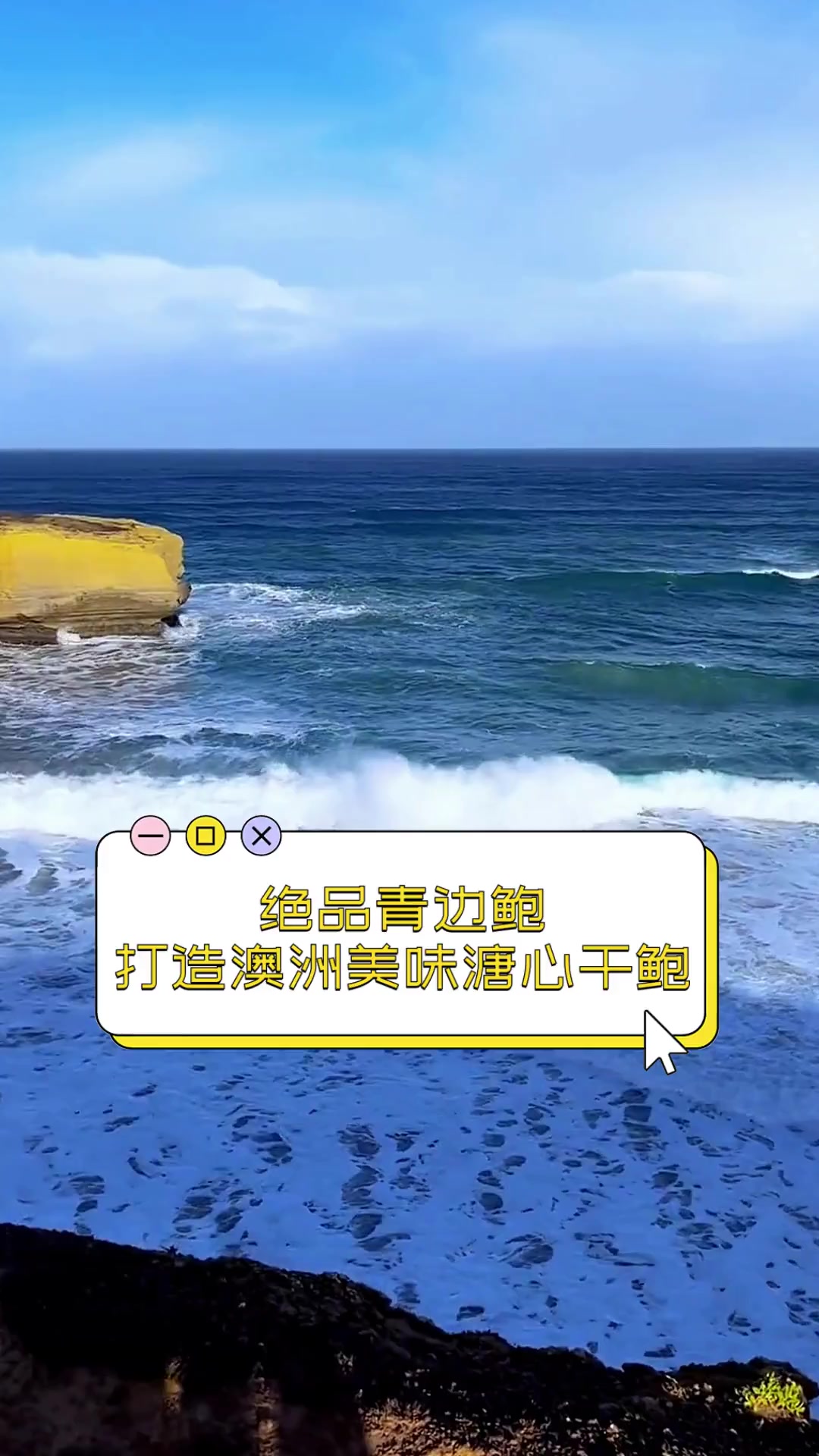 绝品青边鲍,打造澳洲美味溏心干鲍