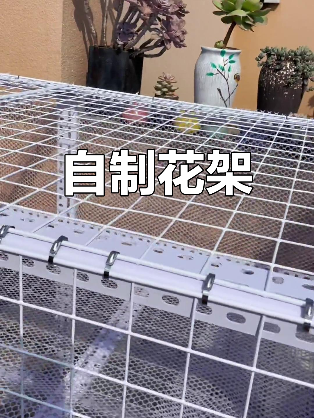楼顶多肉架子,自制安全又实用,材料齐全!