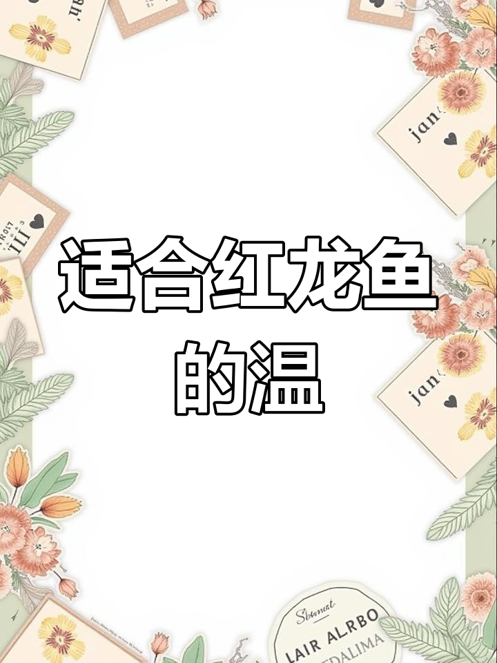 红龙鱼饲养温度指南