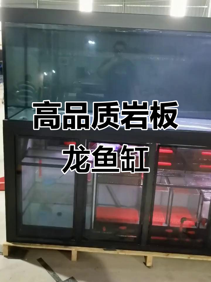 岩板龙鱼缸:强大过滤系统,底吹设计让水质更清新