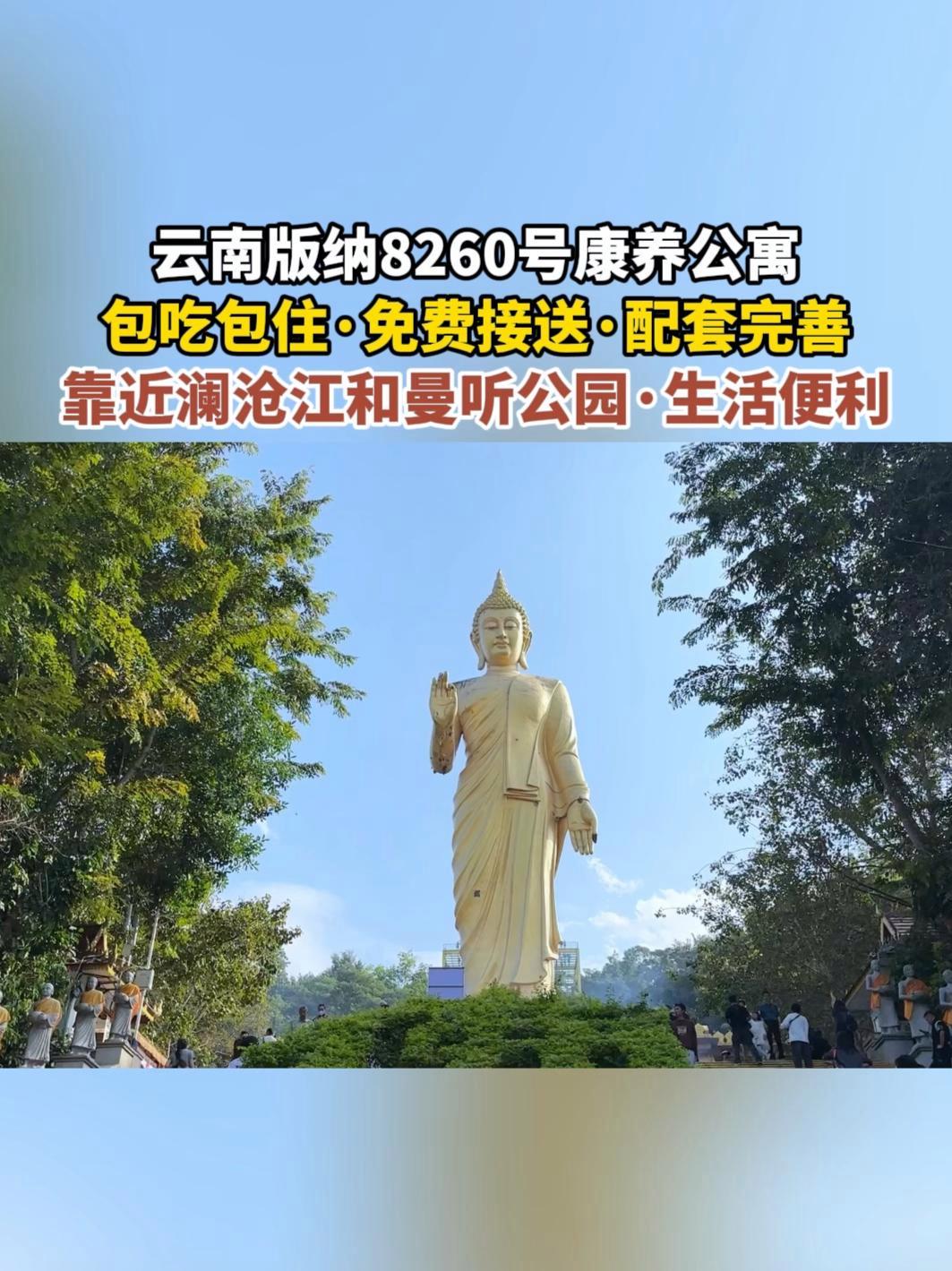 初春的西双版纳3月人少景全、4月傣历新年,住在景洪市区 包三餐的康养公寓只要一百多一天!康