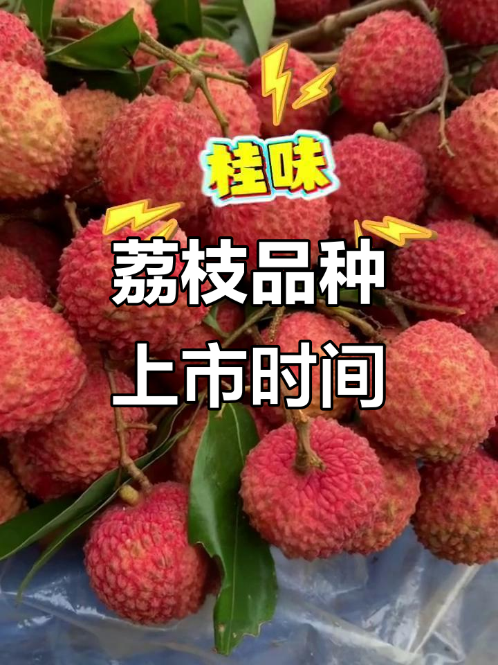 各种荔枝品种上市时间大揭秘,哪种最好吃?