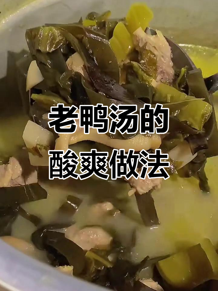 酸爽老鸭汤,海带、青菜与泡菜的完美搭配