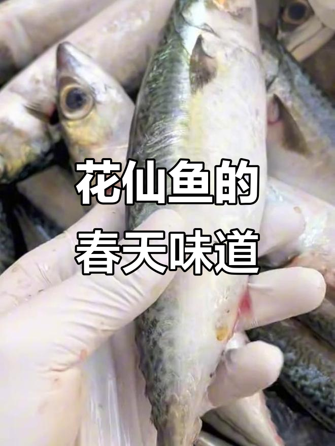潮汕花鲜鱼:美味海鱼,春季最肥美