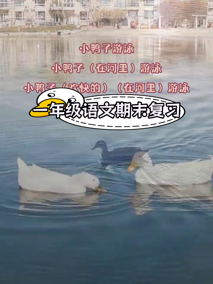 一年级下册语文期末复习,必考知识点总结