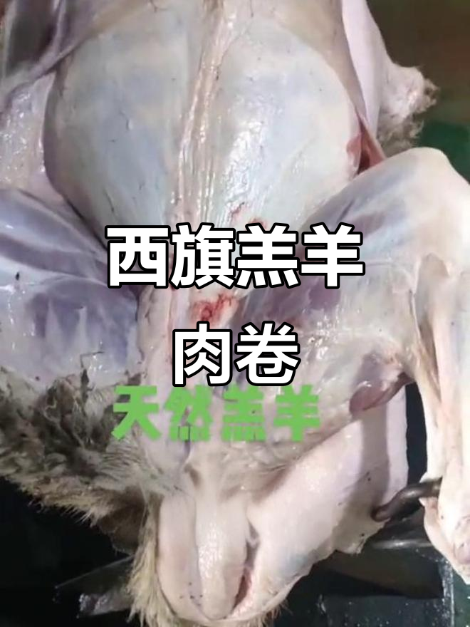 呼伦贝尔大草原烤全羊,西旗羔羊肉卷超美味