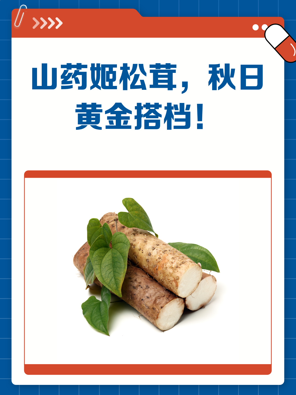 山药&姬松茸,秋日黄金搭档,这样吃超暖胃!