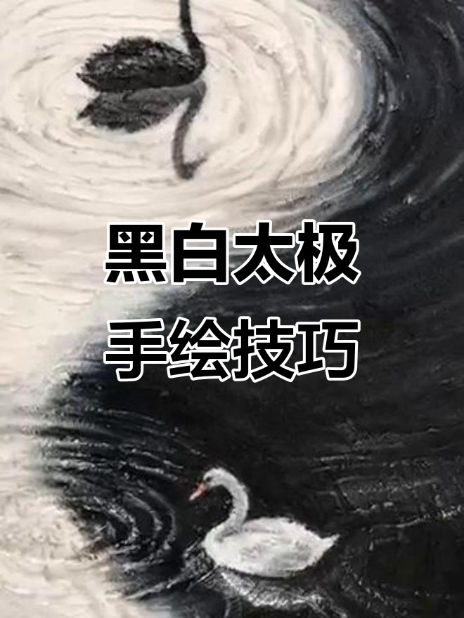 用黑白画幅挑战太极,黑天鹅与白天鹅的完美演绎