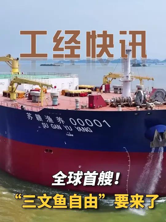 全球首艘!“三文鱼自由”要来了