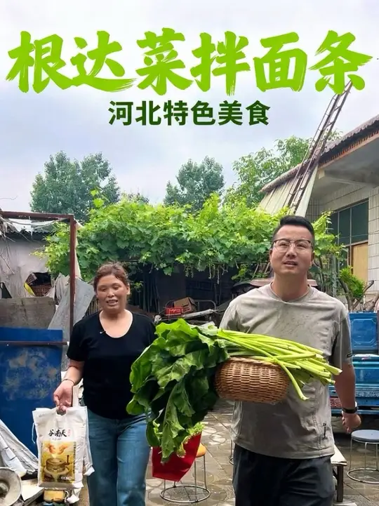 在河北本地，藏着一道好多人都没尝过的特色美食——根达菜拌面条