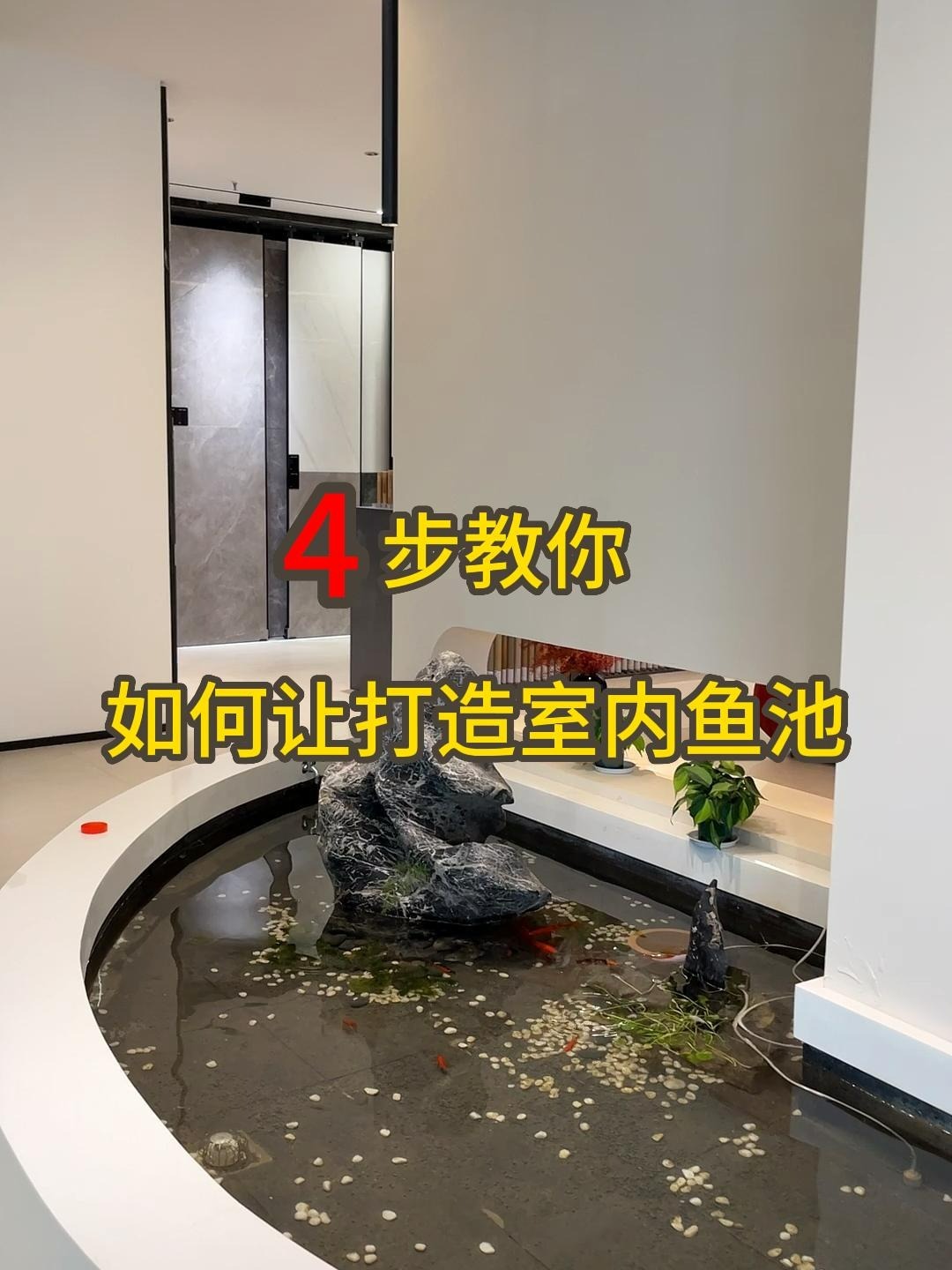 4步教你如何打造室内鱼池~