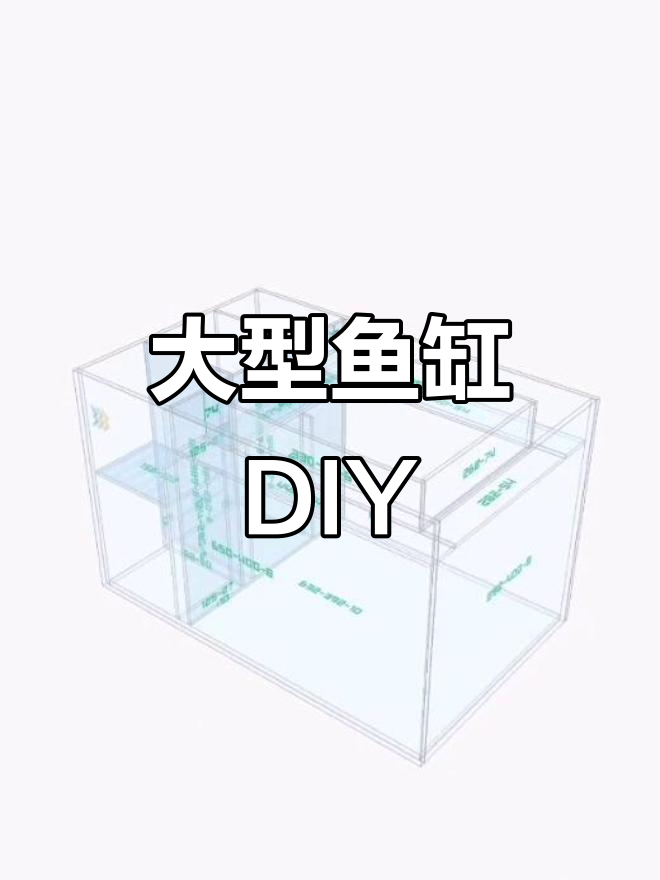 背滤侧滤鱼缸设计,精确尺寸与效果图,适用于大型水族箱
