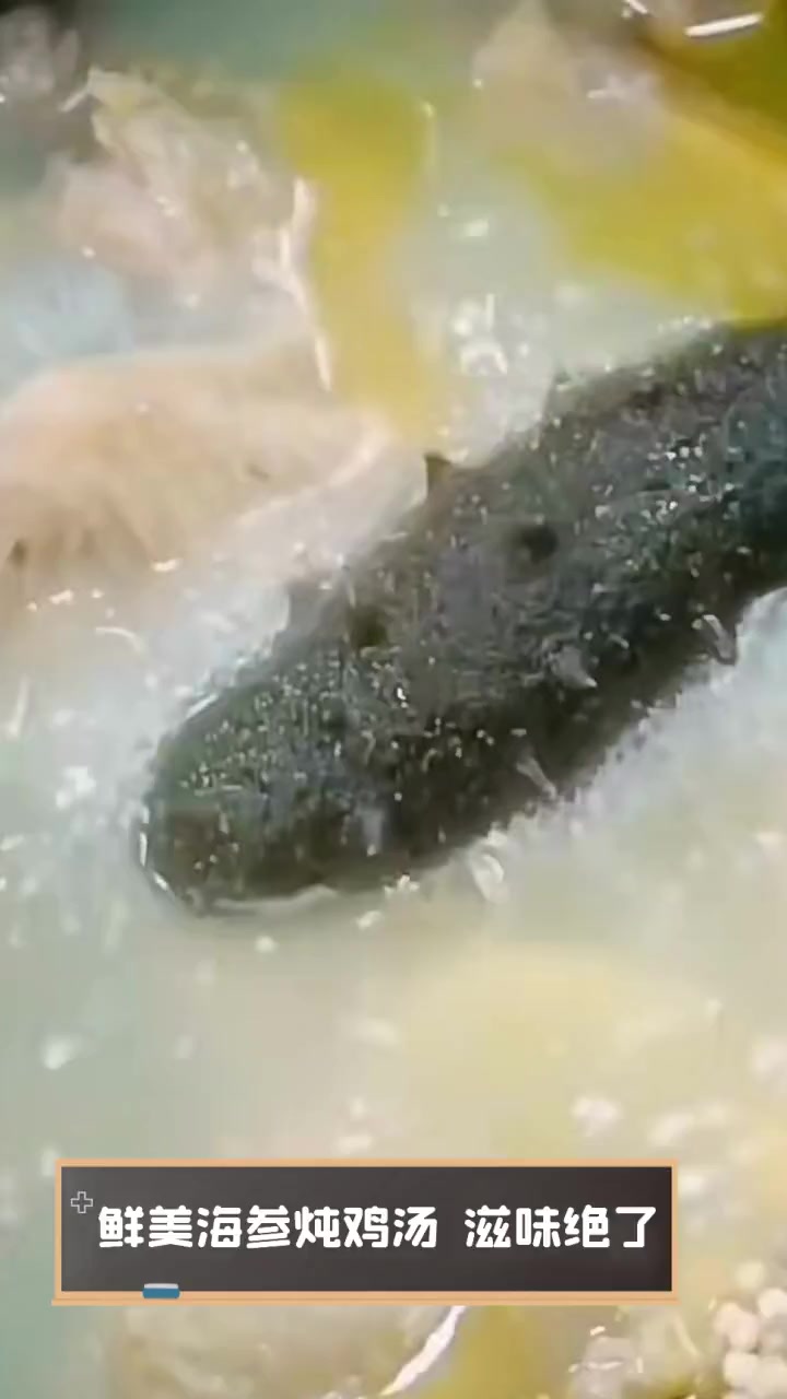 鲜美海参炖鸡汤,滋味绝了