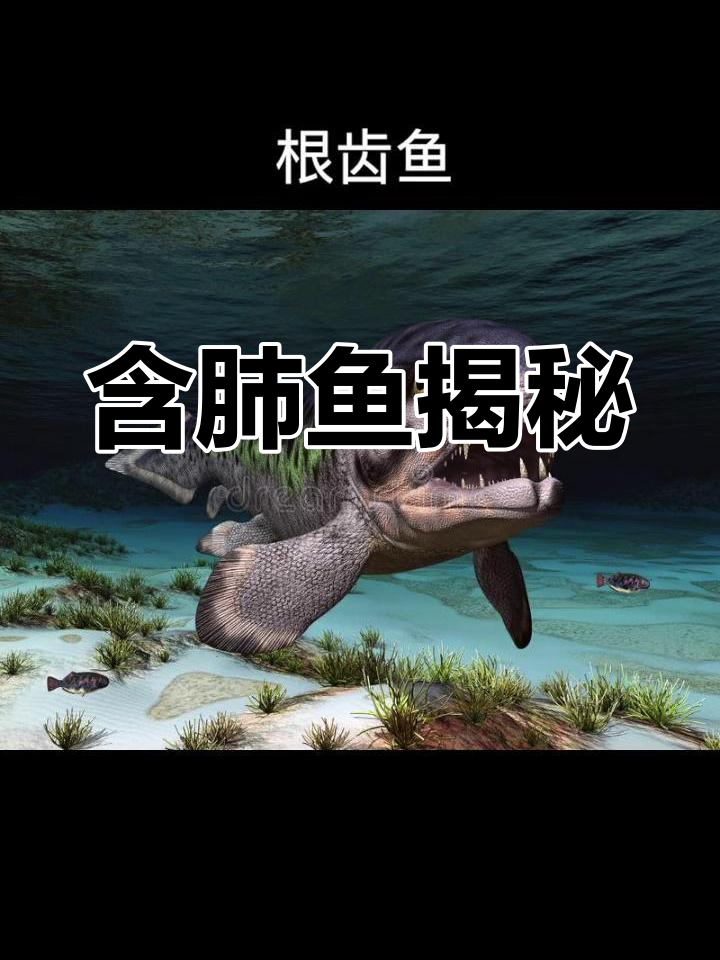 含肺鱼:根齿鱼的“星耀”兄弟,泥盆纪的顶级捕食者