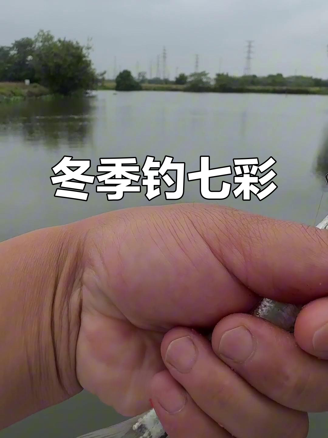 船上钓鱼遇小猫咪,七彩鳑鲏鱼疯狂来袭