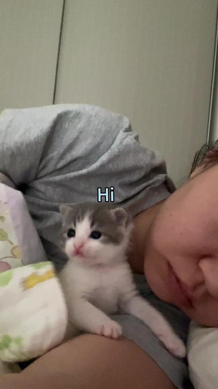 小鱼宝成长记录，见证它的每一次蜕变