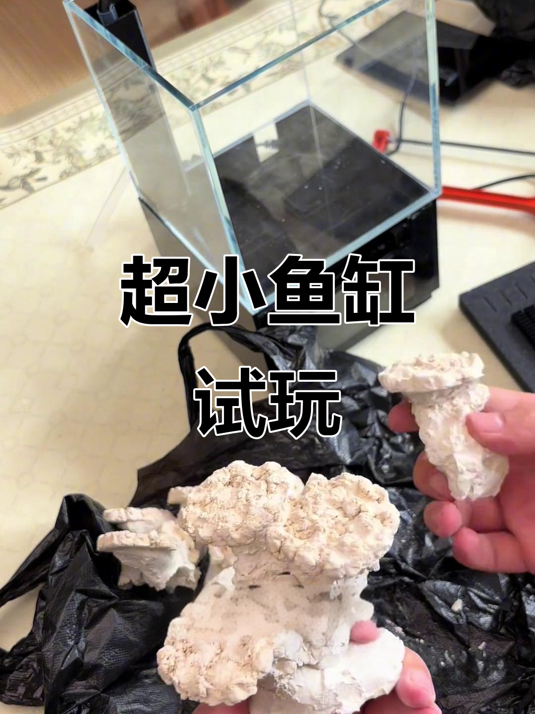 迷你海缸挑战：16厘米超小底滤鱼缸，能养珊瑚和小丑鱼吗？
