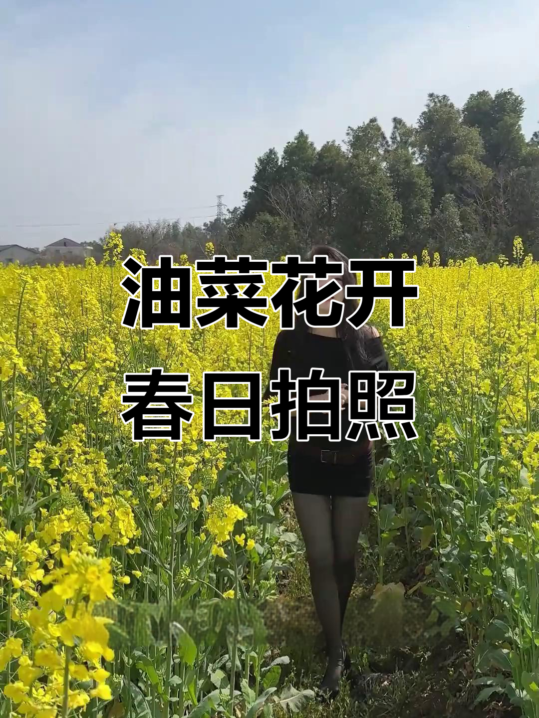 春天油菜花盛开,随手一拍就是美景