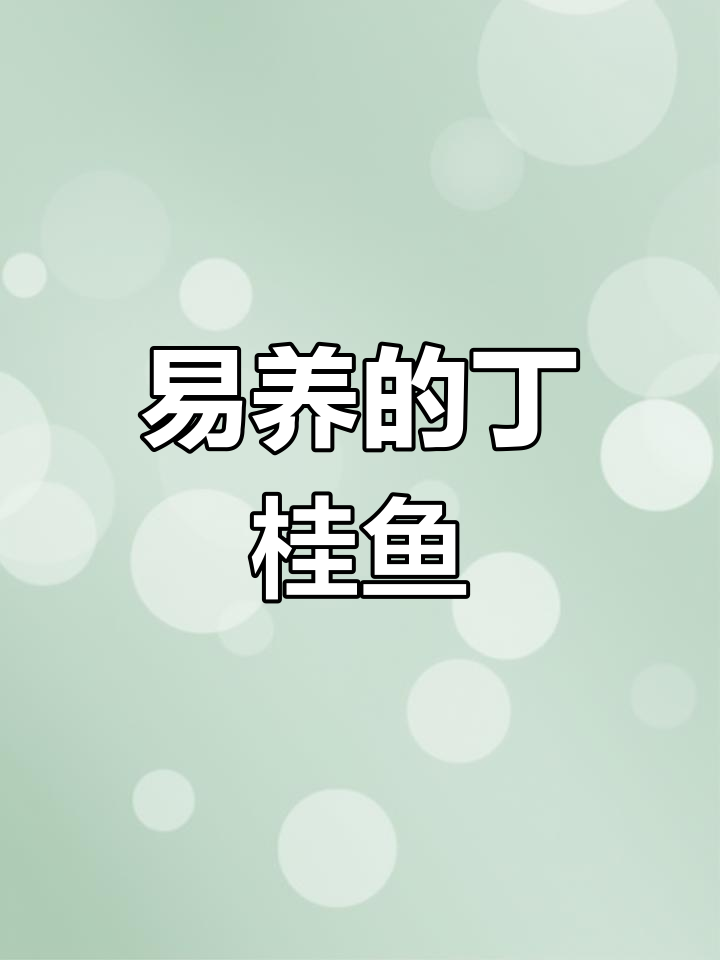 丁桂鱼易养，肉质鲜美，冬季也能存活