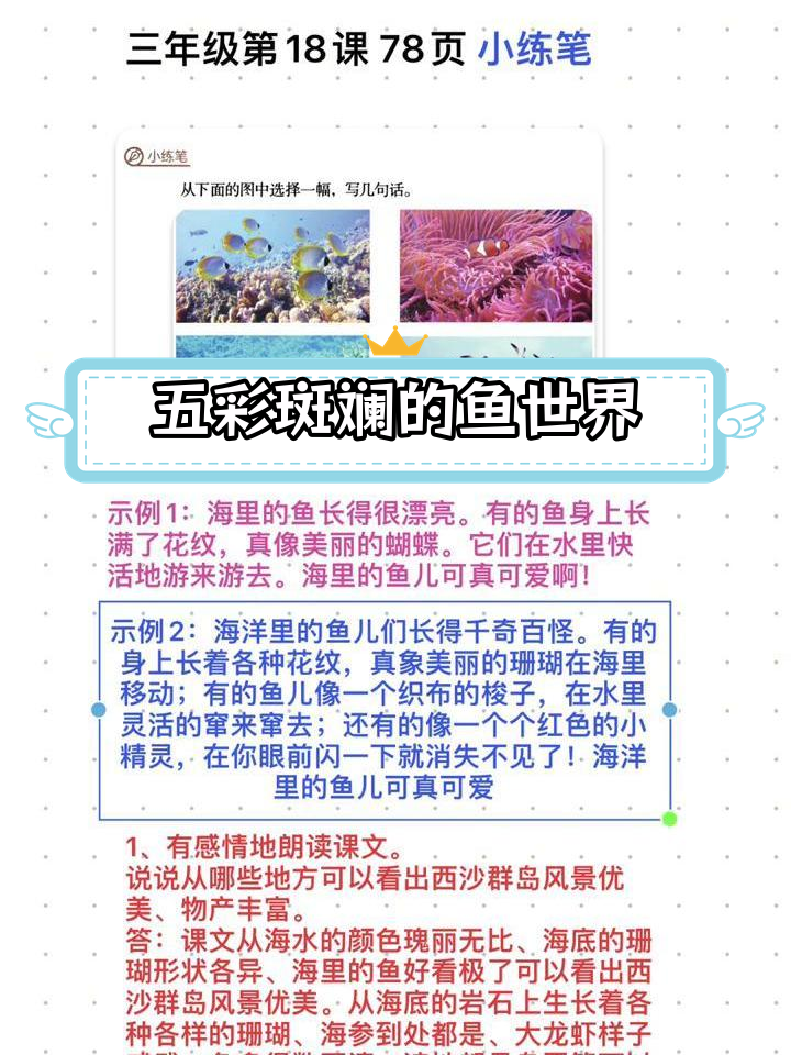 海洋中的奇妙鱼儿