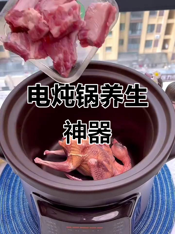 九阳电炖锅,紫砂陶瓷煲汤煮粥,养生必备
