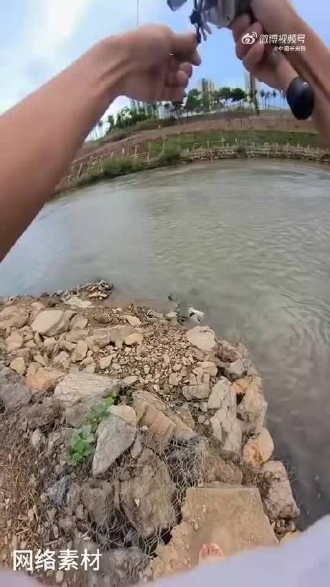 「真是意外!钓鱼佬钓到飞鸟赶紧送到派出所」“我鱼竿一甩,勾到只鸟!”近日,山东济南莱芜市一