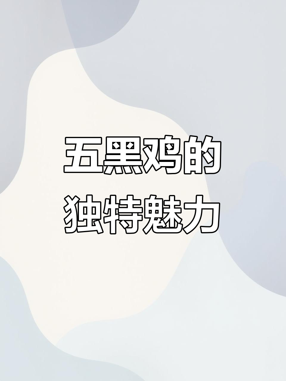 神农架五黑鸡:传承本土美味,滋补药用两不误