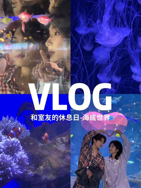 VLOG休息日-青岛海底世界!