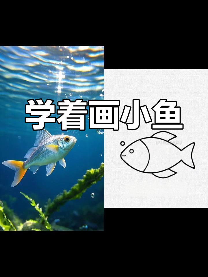 一起画小鱼,轻松学画画