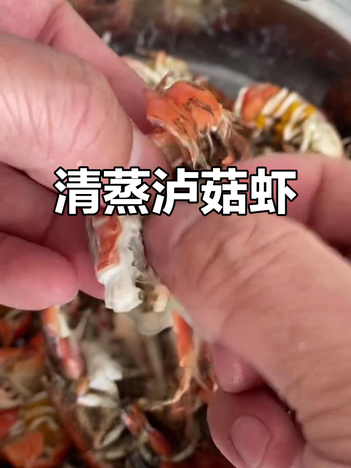 泸沽虾蝼蛄虾清蒸做法,简单又美味