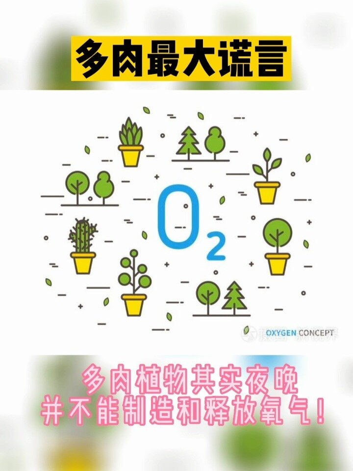 多肉植物最大谎言——夜晚制造氧气