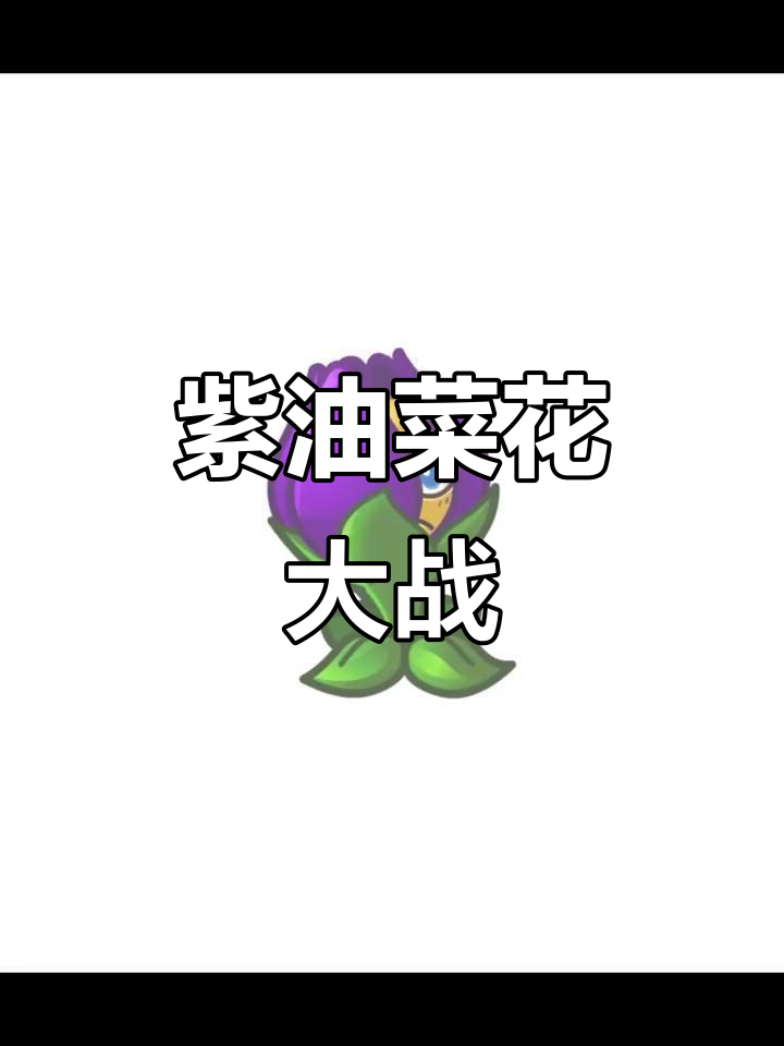 紫油美丽坚大乱斗,坚果与梅小美激战全场