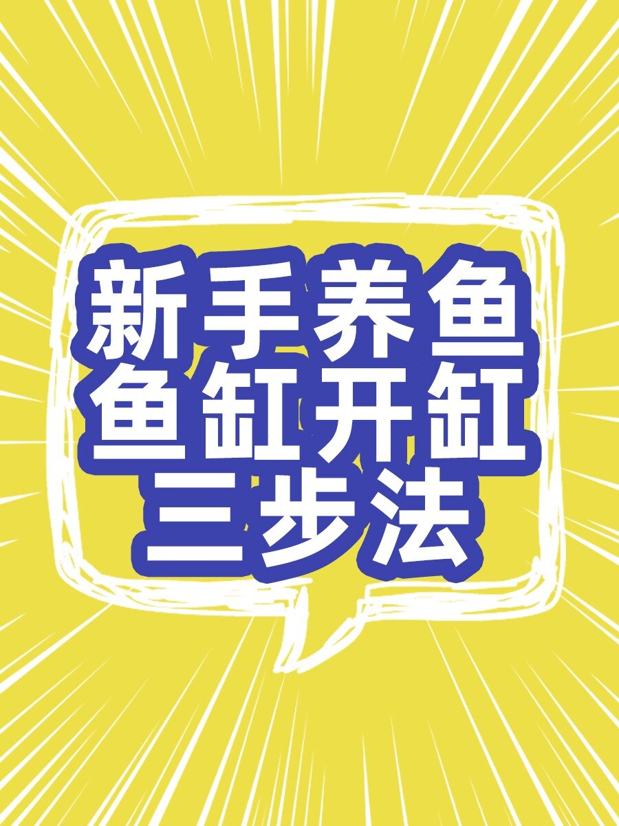 新鱼缸开缸3步法,让你轻松养活鱼儿!