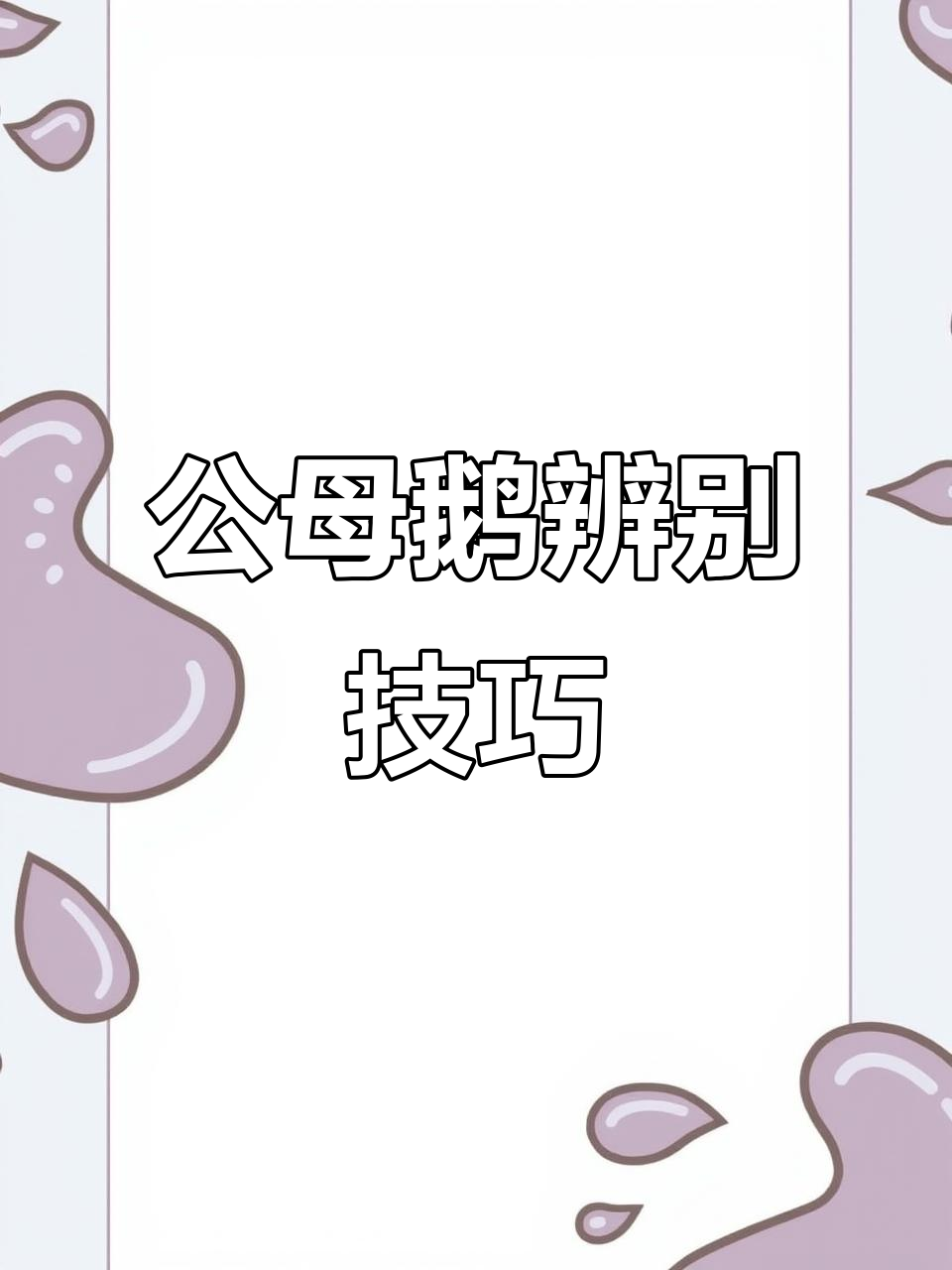 分辨公母大鹅，看蟹殖腔凸起与否