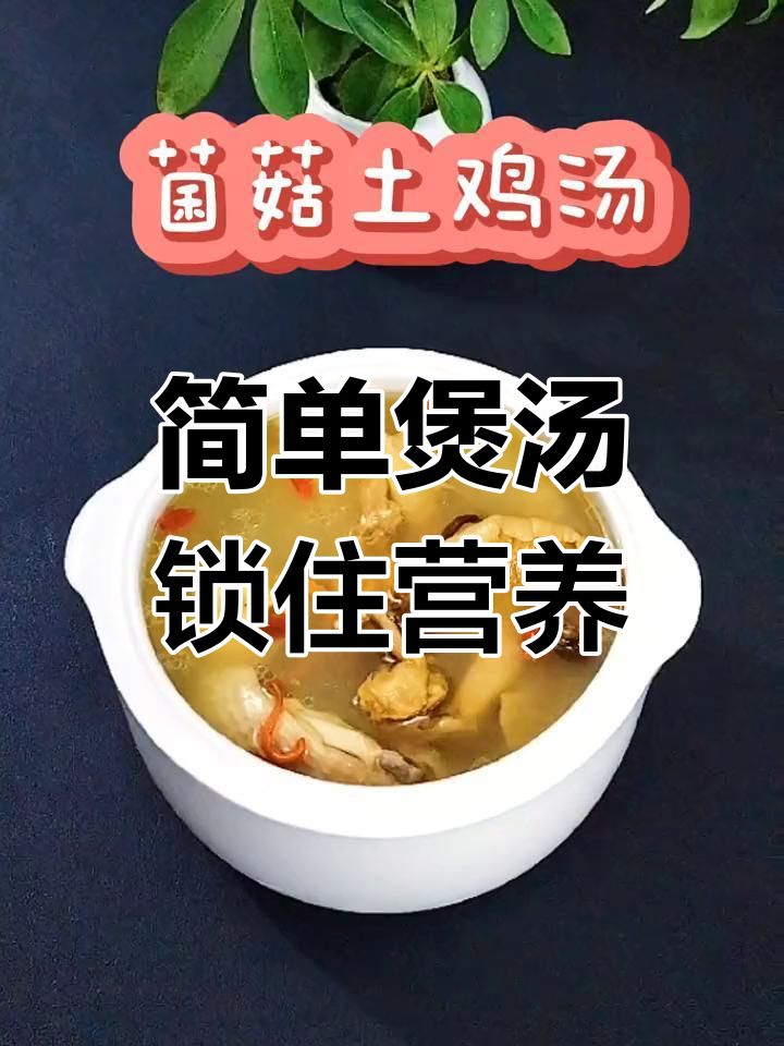 养生壶菌菇鸡汤,营养不流失