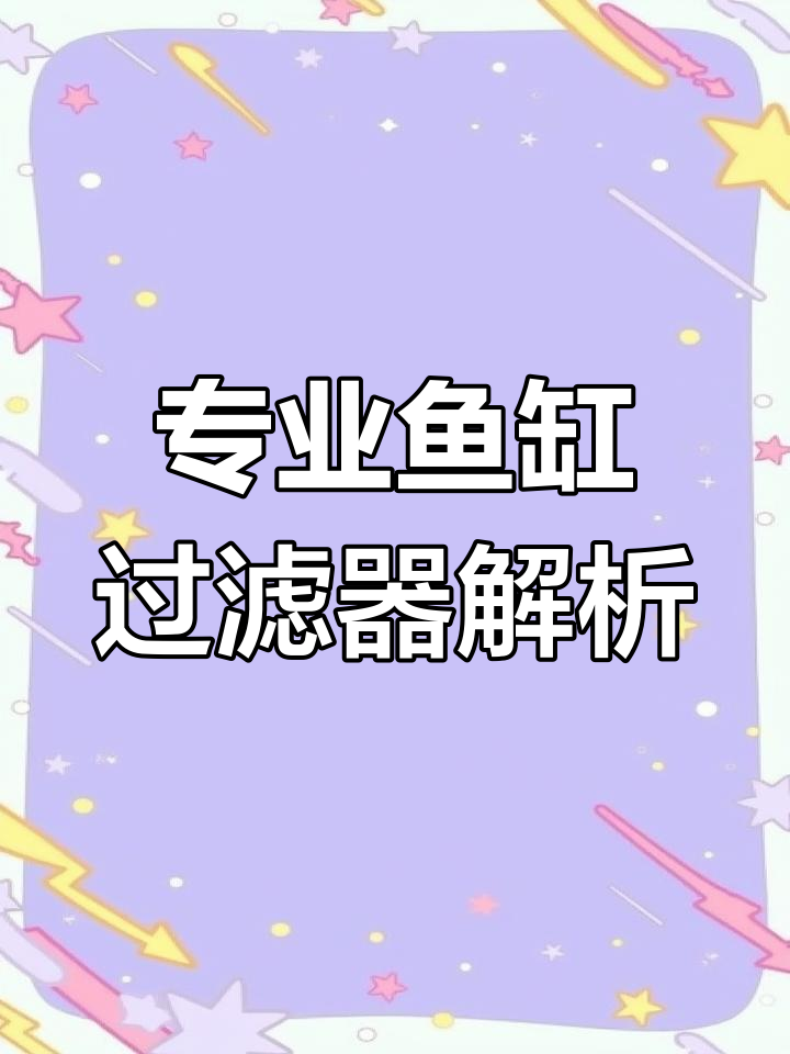 鱼缸过滤系统大揭秘,暴力喂食也能轻松搞定