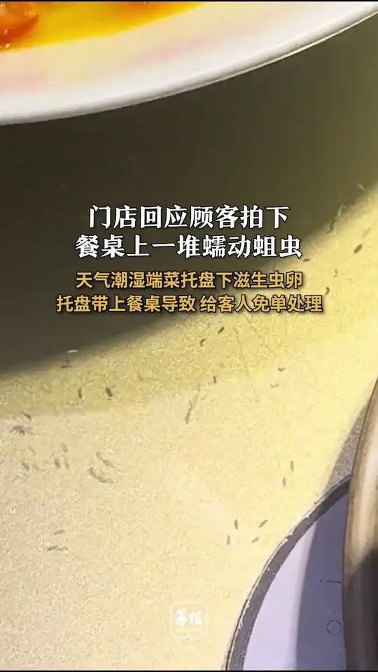 天气潮湿端菜托盘下滋生虫卵 托盘带上餐桌导致 给客人免单处理
