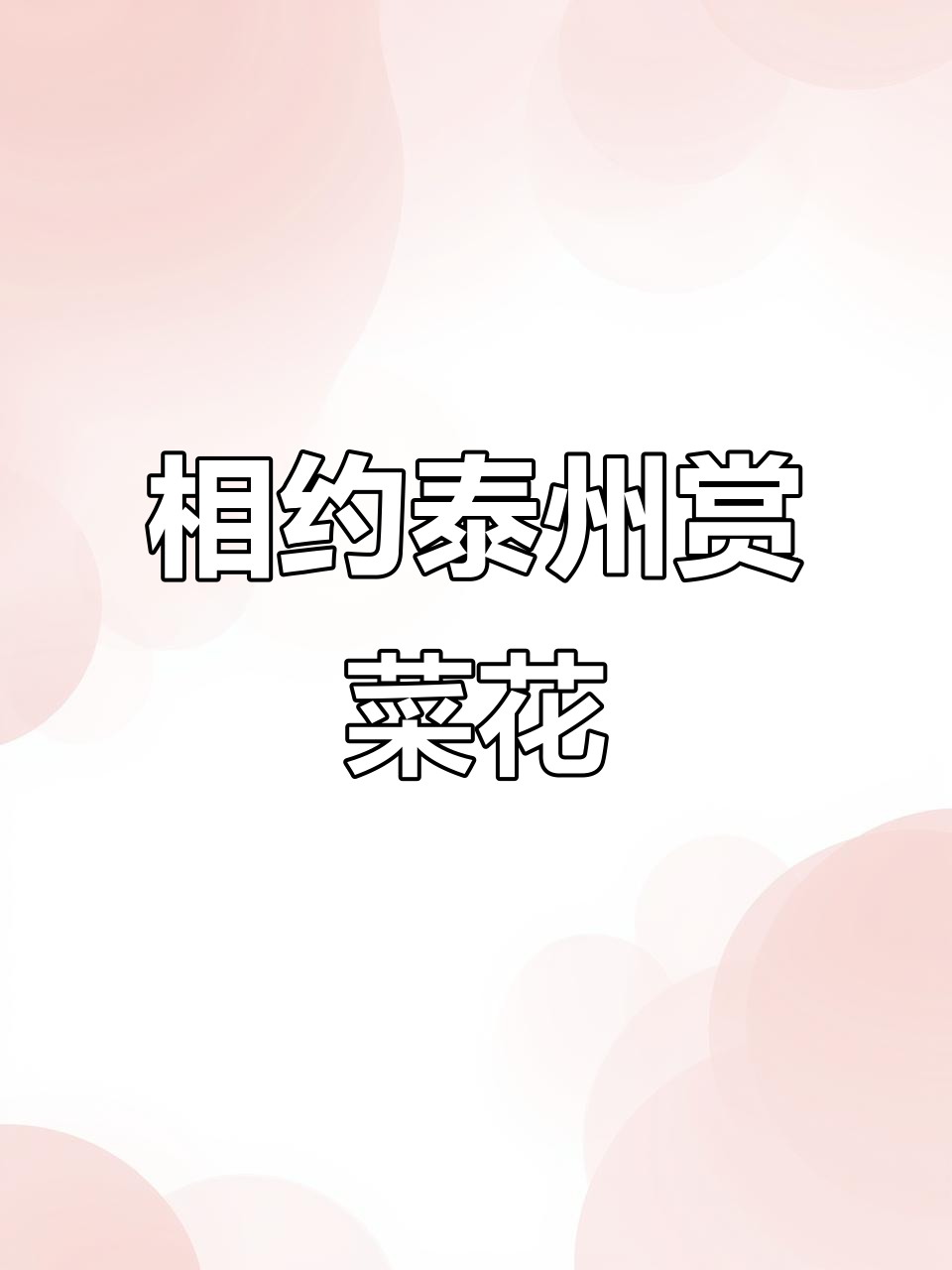 泰州兴化千垛菜花，今年春天等你来！