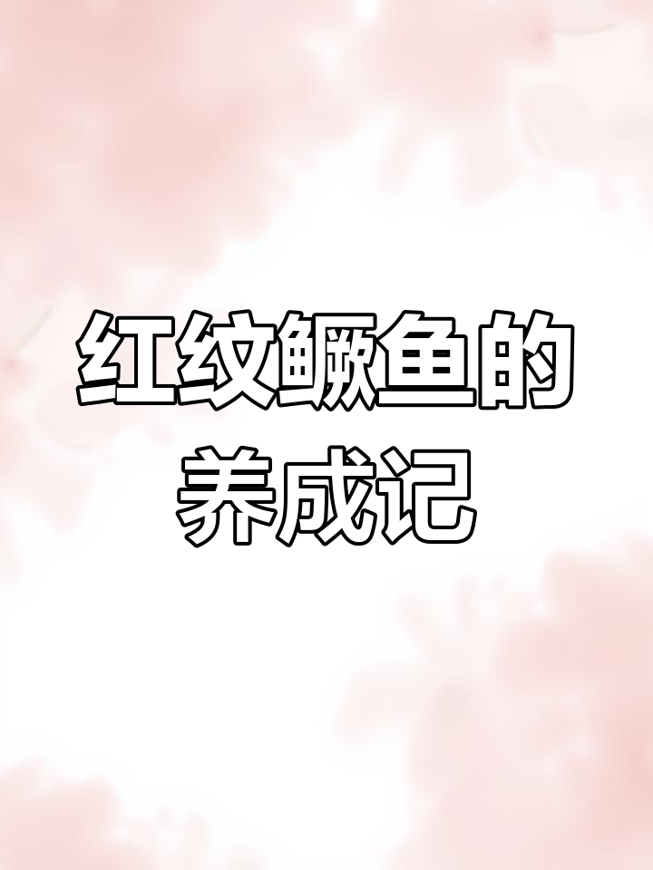 尝试养殖普通鳜鱼,期待它们能变成红纹!